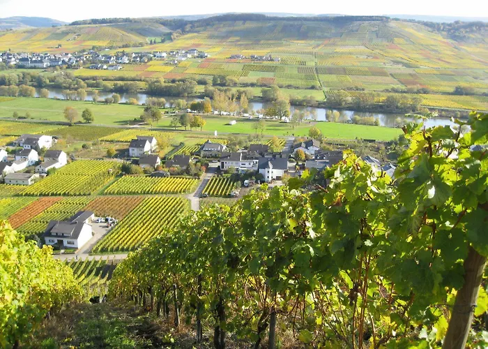 Moselsteig Osann-Monzel