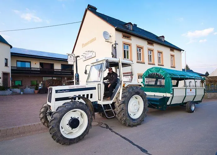 Appart hôtel Moselsteig Osann-Monzel